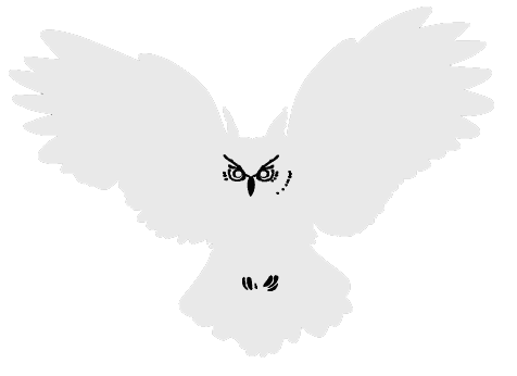 Logo owl