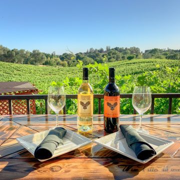 wine bottles and wine glasses on table overlooking vineyards