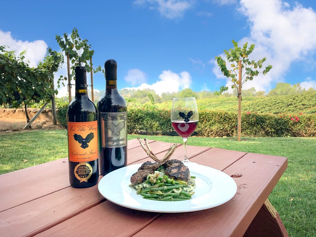 wine bottles on picnic table with plate of food overlooking vineyards