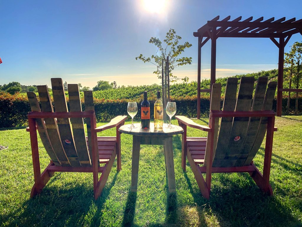lawn chairs on grass with table and wine glasses