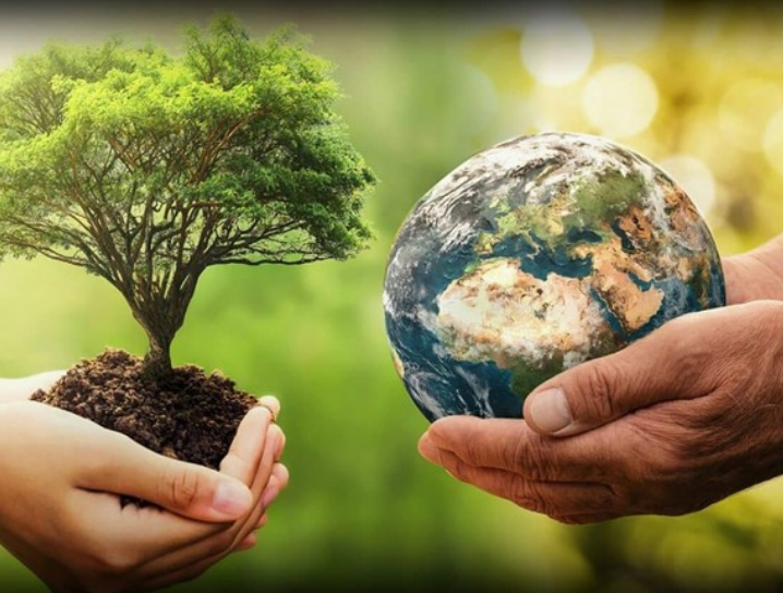 hands holding a plant and hands holding earth